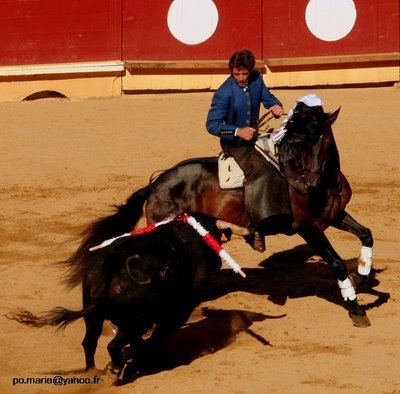 Corrida à cheval corrida à cheval.jpg, 35kB