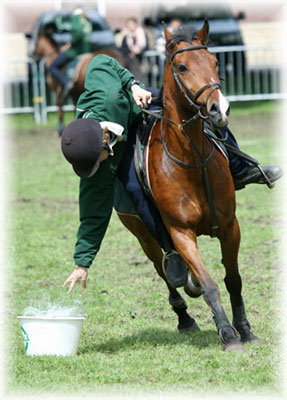 Pony games pony games.jpg, 35kB