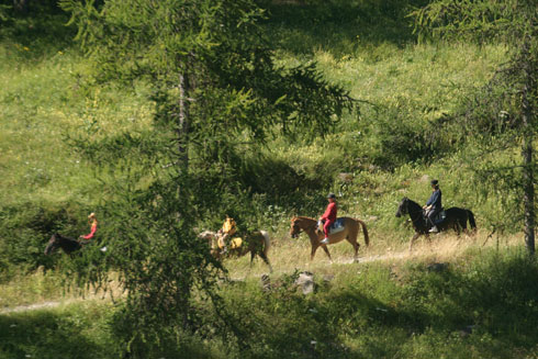 Randonné equestre randonné equestre.jpg, 62kB