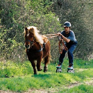 Roller joering roller joering.jpg, 33kB