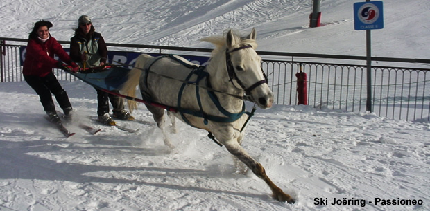 Ski Joering ski Joering.jpg, 104kB